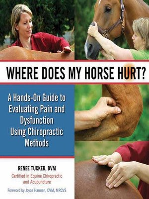 Where Does My Horse Hurt? - ebook
